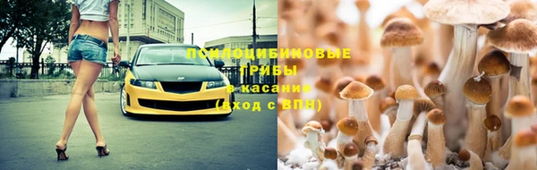 ALPHA PVP Богданович
