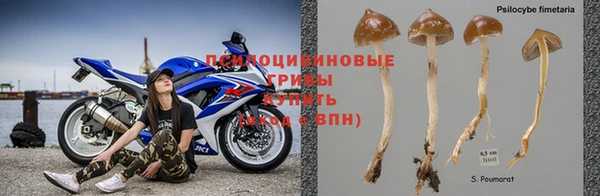 прущий лед Богородицк