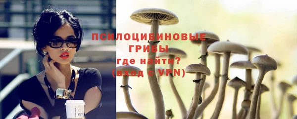 ALPHA PVP Богданович