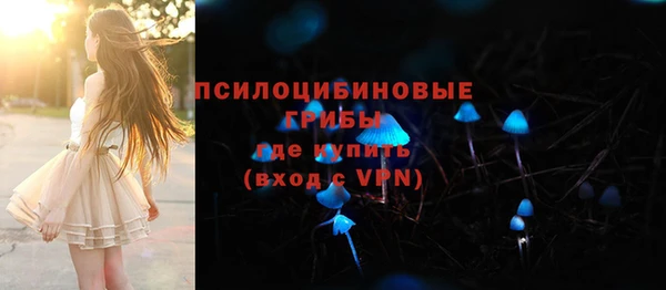 ALPHA PVP Богданович