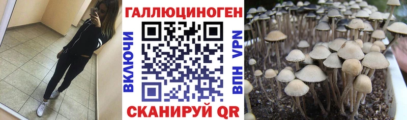 Псилоцибиновые грибы Cubensis  Усолье-Сибирское 